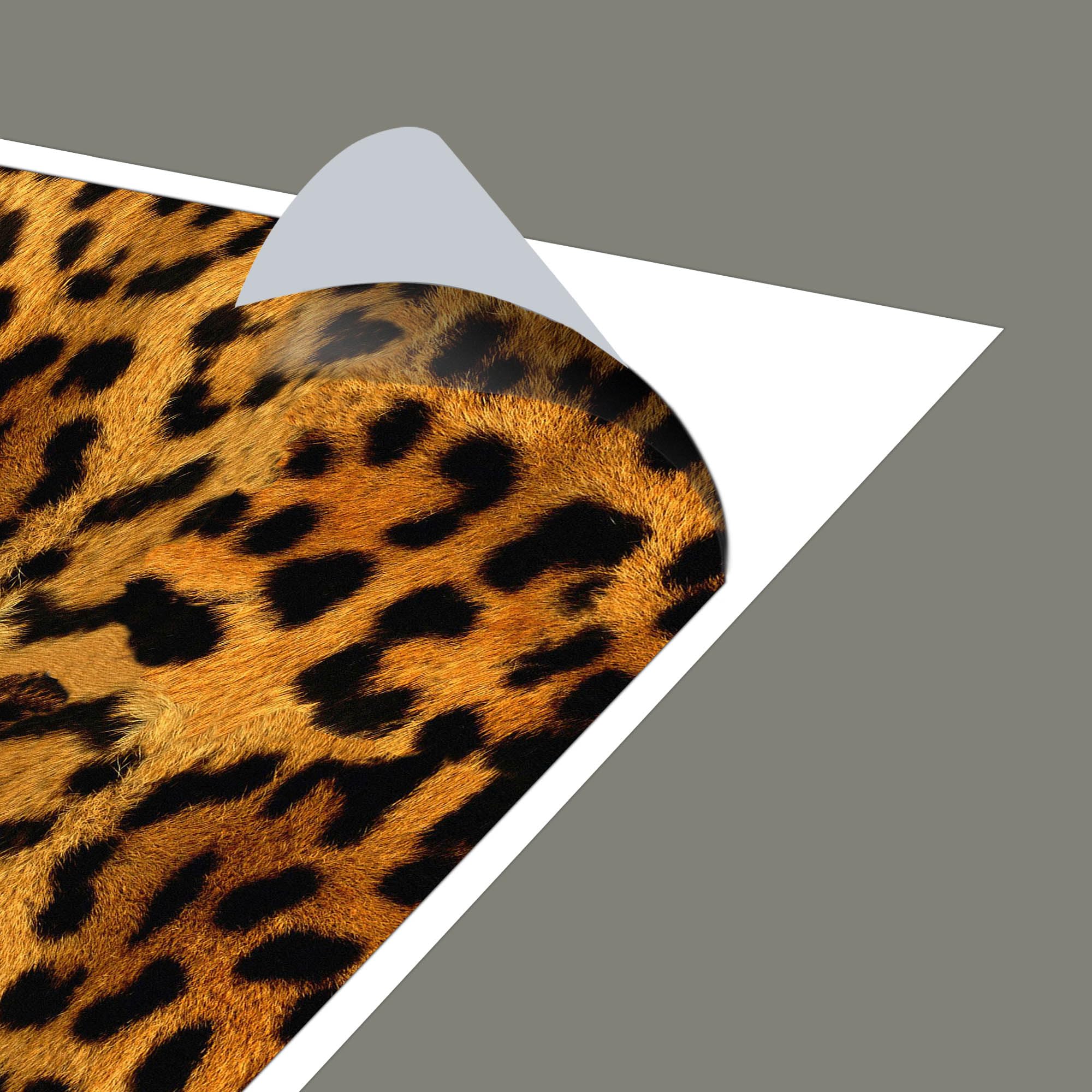 Banjado Möbelfolie Leopard Tischfolie 55x55 cm selbstklebend