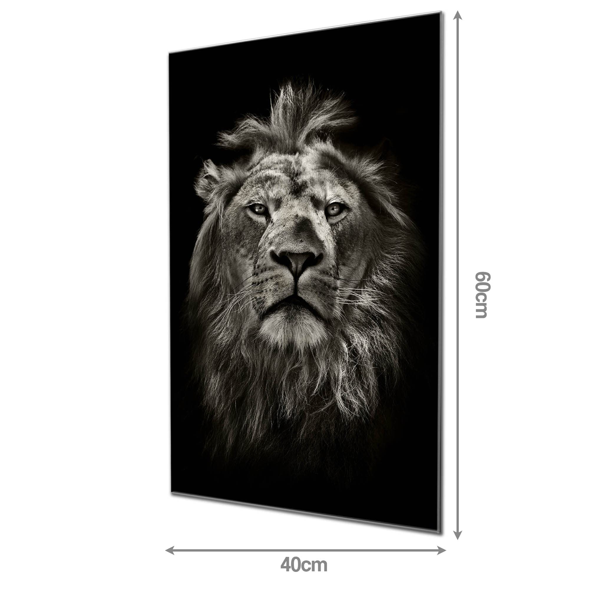 Banjado Magnettafel Löwe Porträt Glas Magnettafel 60x40 beschreibbar