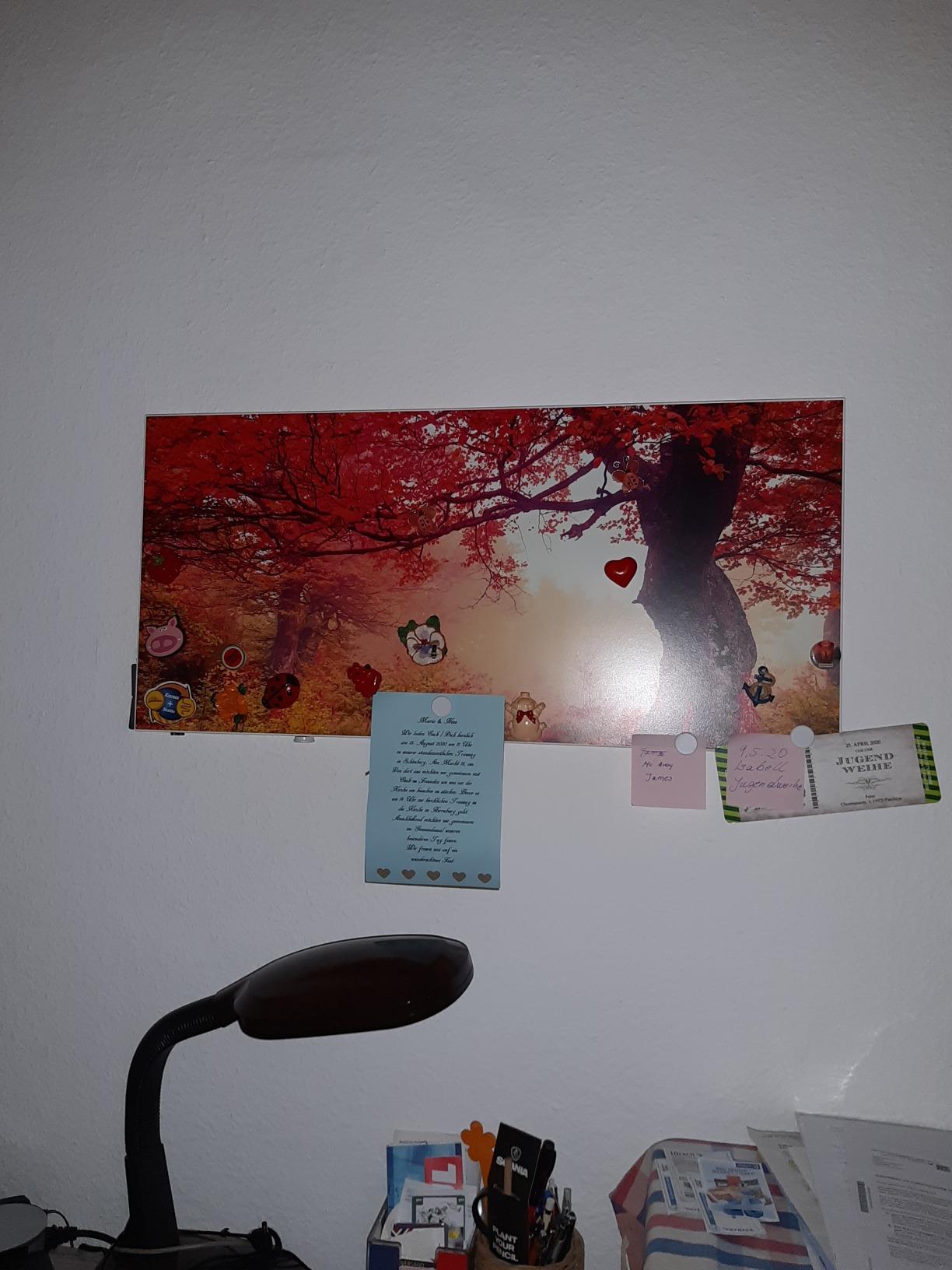 Banjado Magnettafel Lichtung im Herbst Pinnwand 78x37cm weiß
