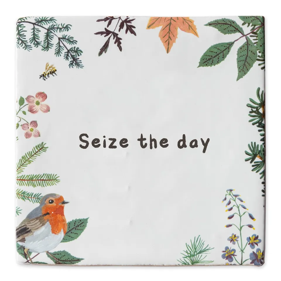 Storytiles Delft Blue Rotkehlchen Fliese 10x10 Spruch
