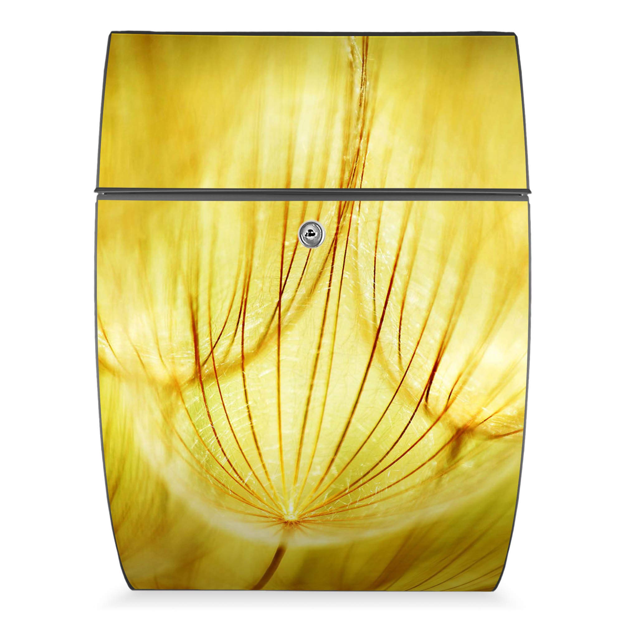 Banjado Riviera Briefkasten Anthrazit Pusteblumen Gold A4