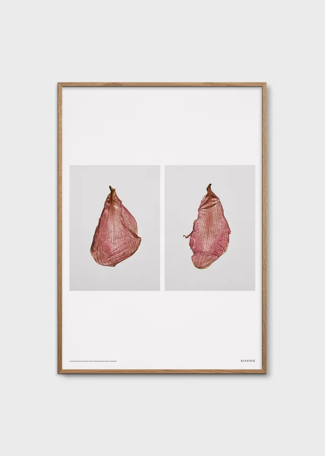 The Poster Club The Petal Poster 50x70 Amaryllis