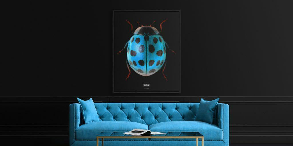 Mineheart Sir Ladybug Canvas Wandbild ohne Rahmen 30x41cm Insekt