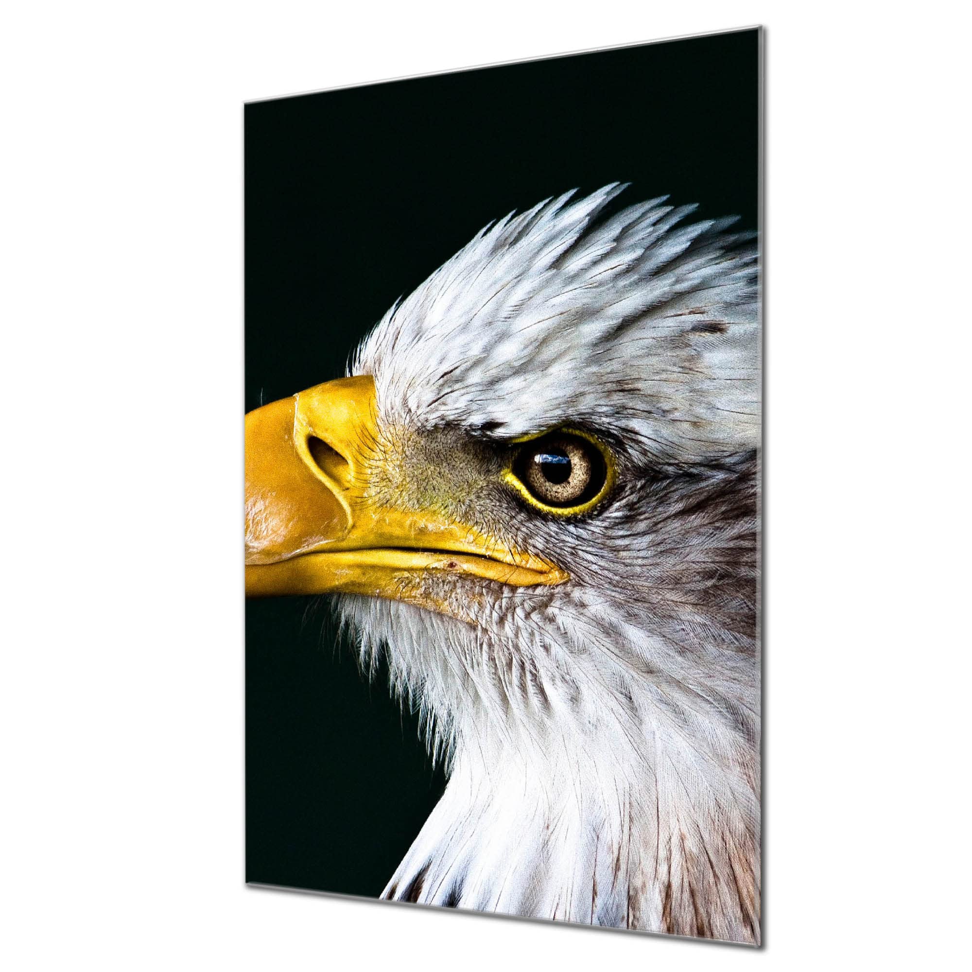 Banjado Magnettafel Glas Weißkopfseeadler 60x40 beschreibbar