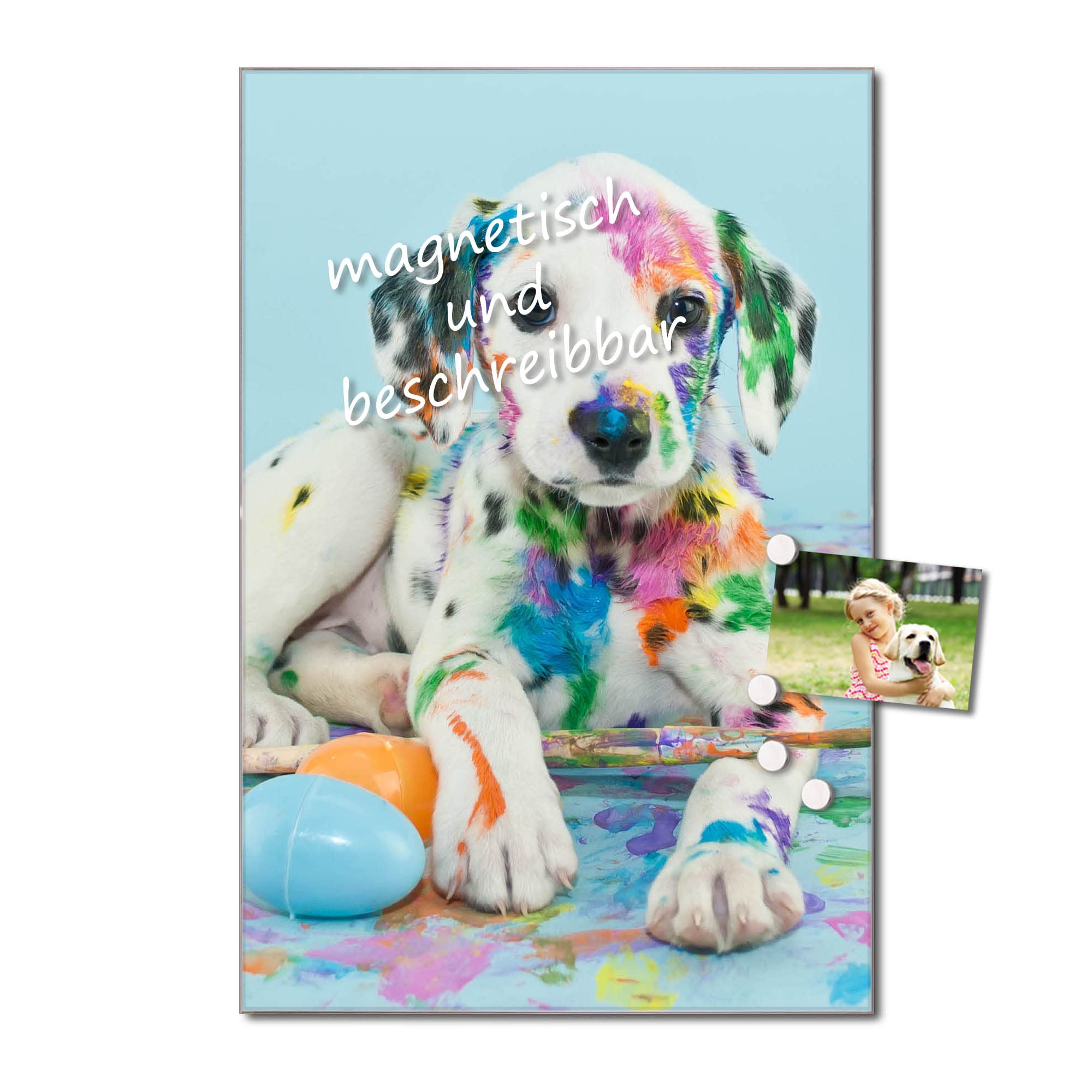 Banjado Magnettafel Glas 40x60cm Magnetboard Bunter Dalmatiner Hund