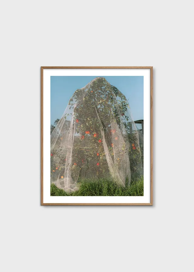 The Poster Club Apple Tree Poster 40x50 cm botanisch