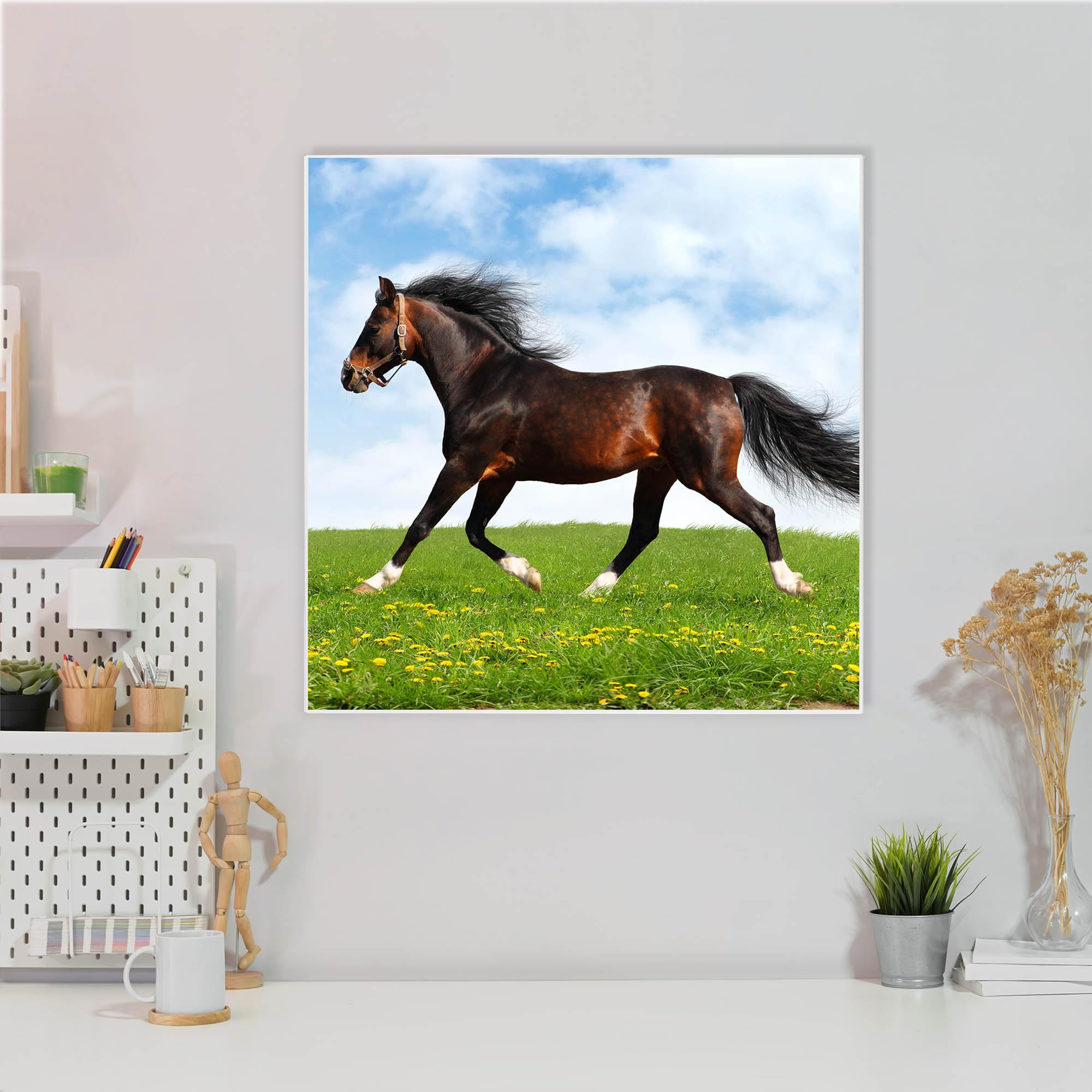 Banjado Magnettafel Pferd Metall 50x50 cm mit Magneten
