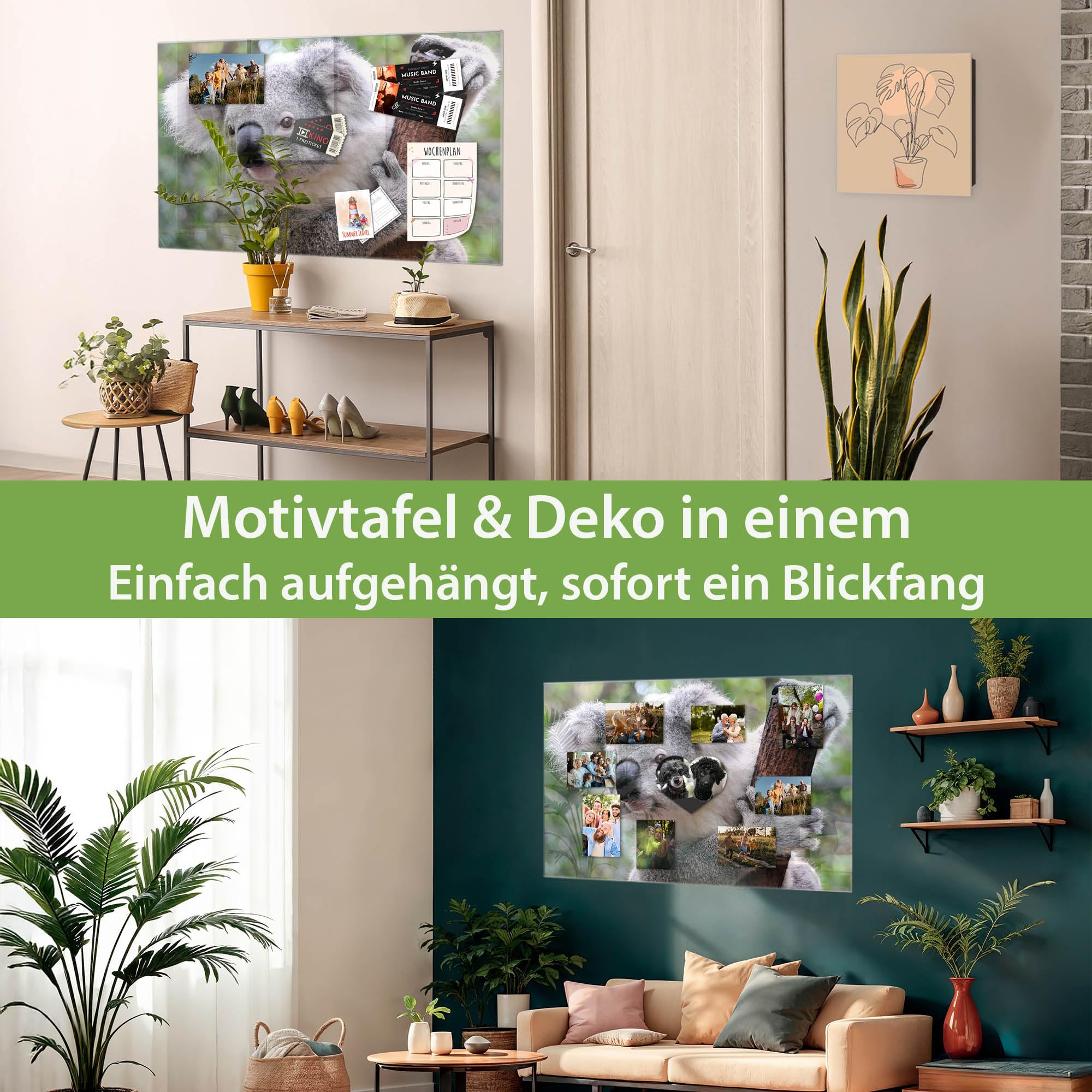 Banjado Magnettafel Koala Glas-Magnettafel 120x80 cm Tiermotiv