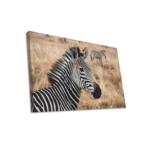 Hustling Sharks Wandbilder Zebra in trockener Savanne Leinwand 30x40 cm