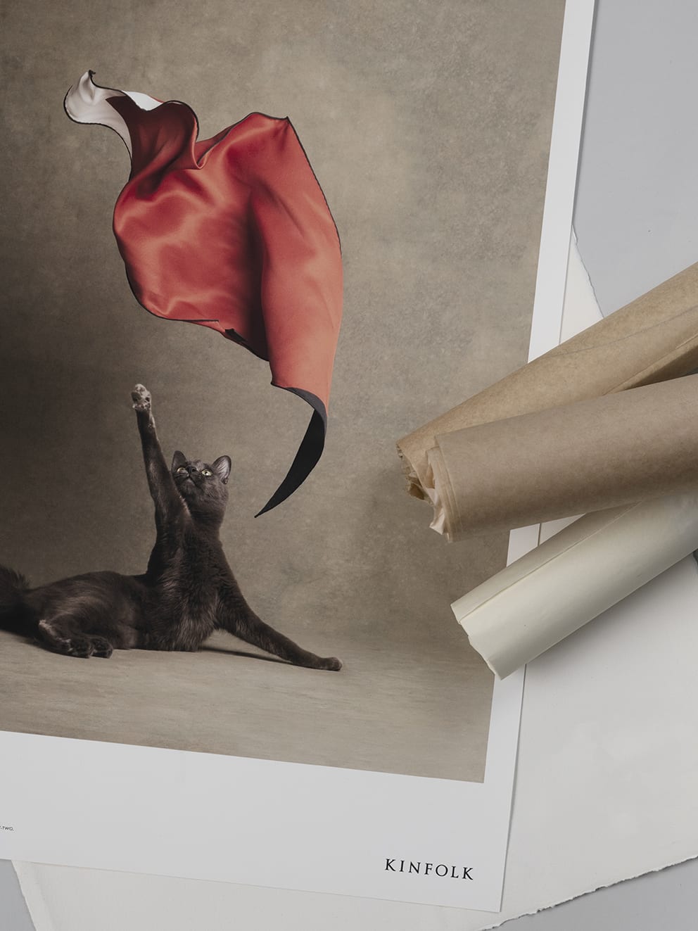 The Poster Club Le Chat Chic Poster 50x70 cm Katzenmotiv