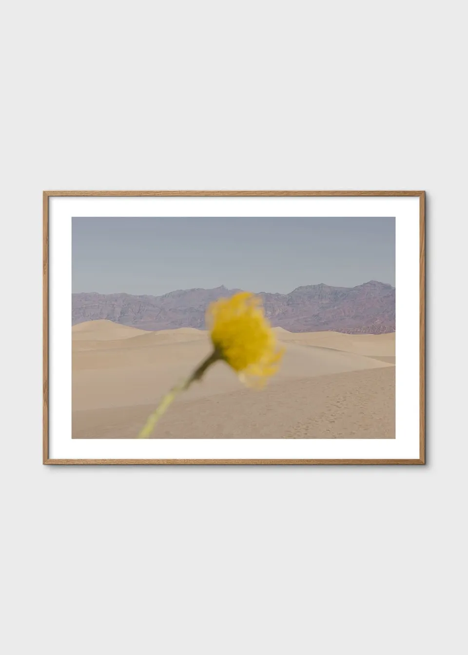 The Poster Club Art Prints Desert Mirage Poster 30x40 beige-blau
