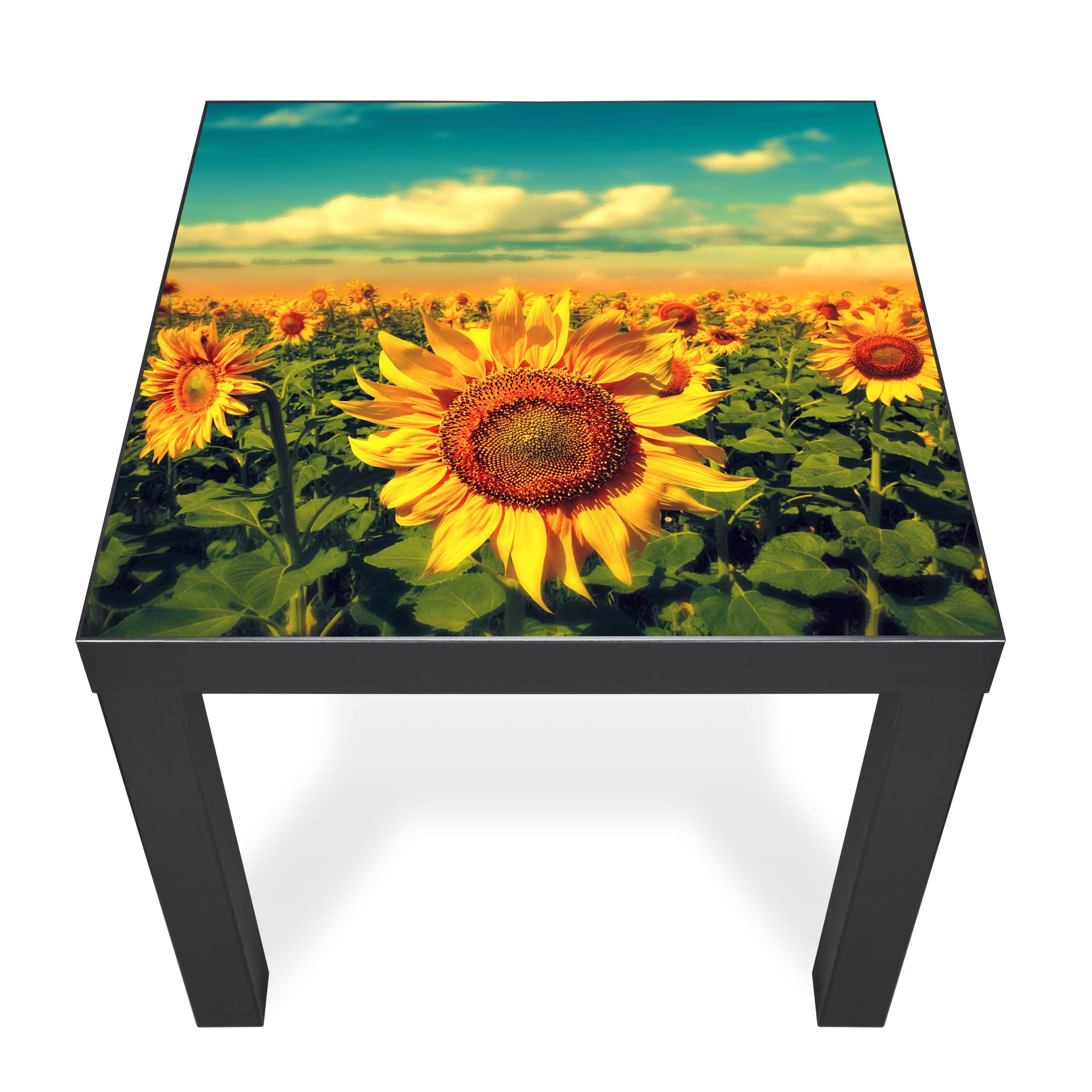 Banjado Möbelfolie Tischfolie Sonnenblumen 55x55 cm