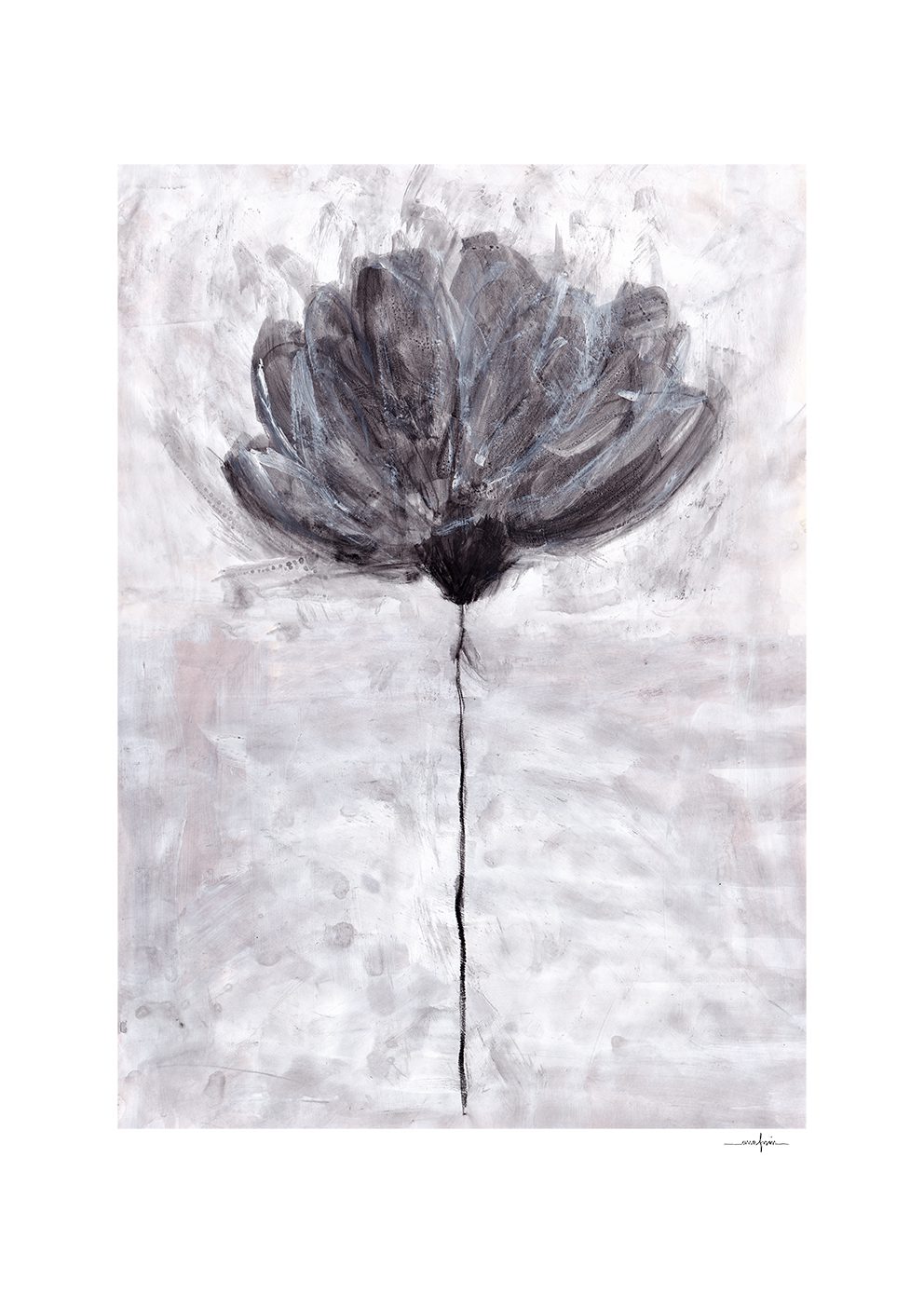 The Poster Club Flower No 04 Poster 30x40 SW