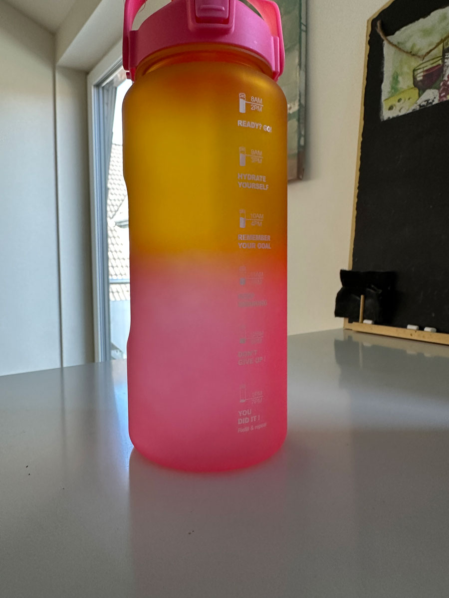 LS-LebenStil Küche Trinkflasche 2000ml Pink Sportflasche auslaufsicher