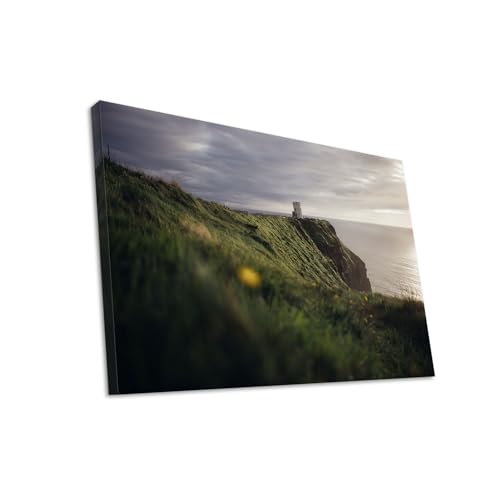 Hustling Sharks Wandbilder Küste Sonnenlicht Leinwand 40x30 Meer