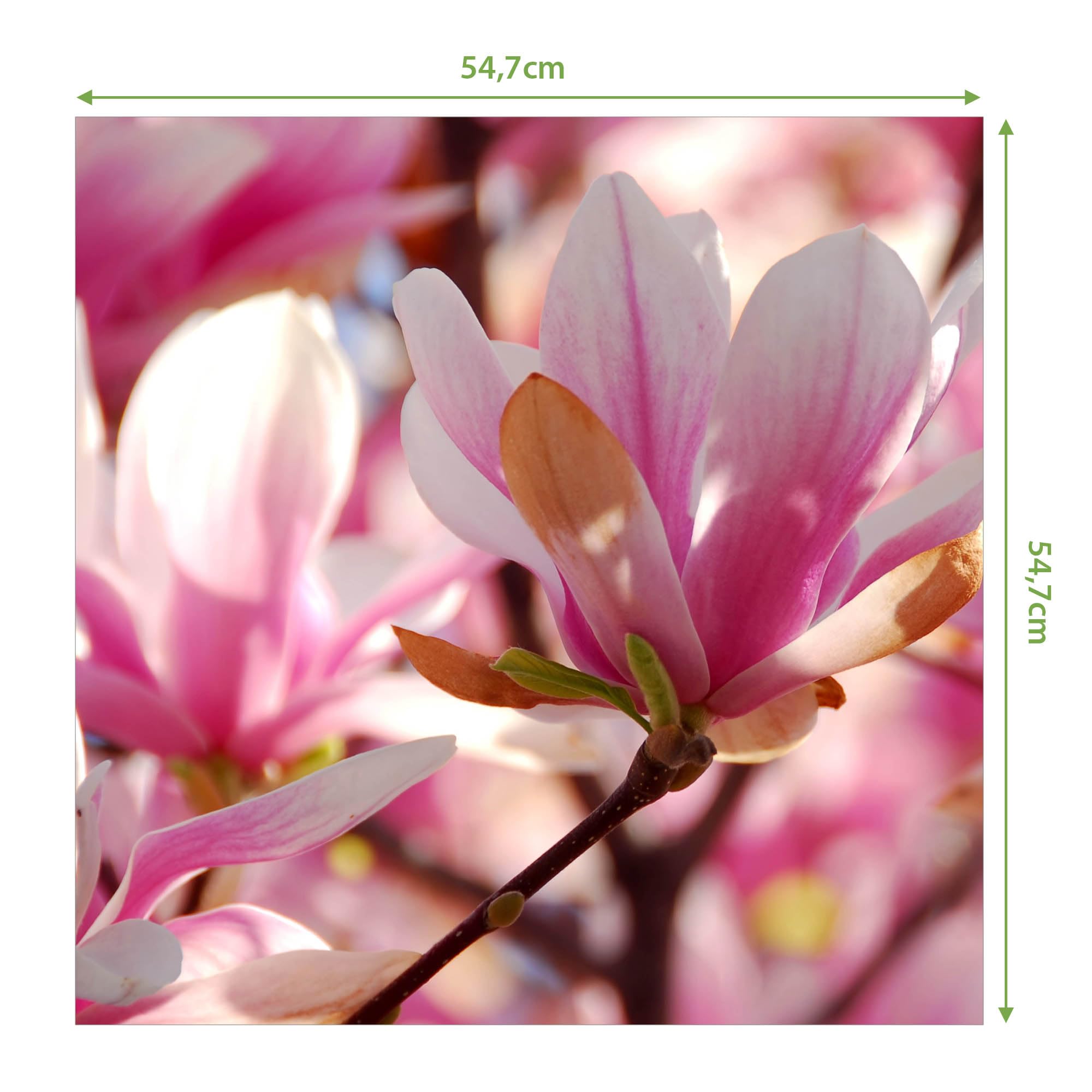 Banjado Möbelfolie Tischfolie Magnolia 55x55 cm selbstklebend