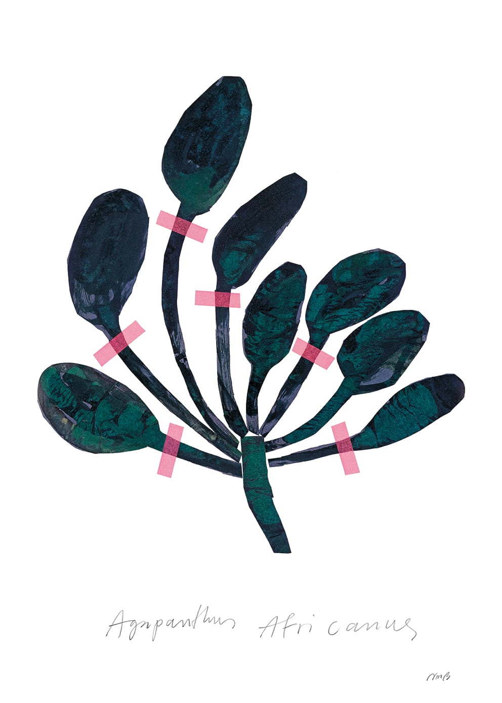 The Poster Club Agapanthus Kunstdruck 30x40 cm Blumen