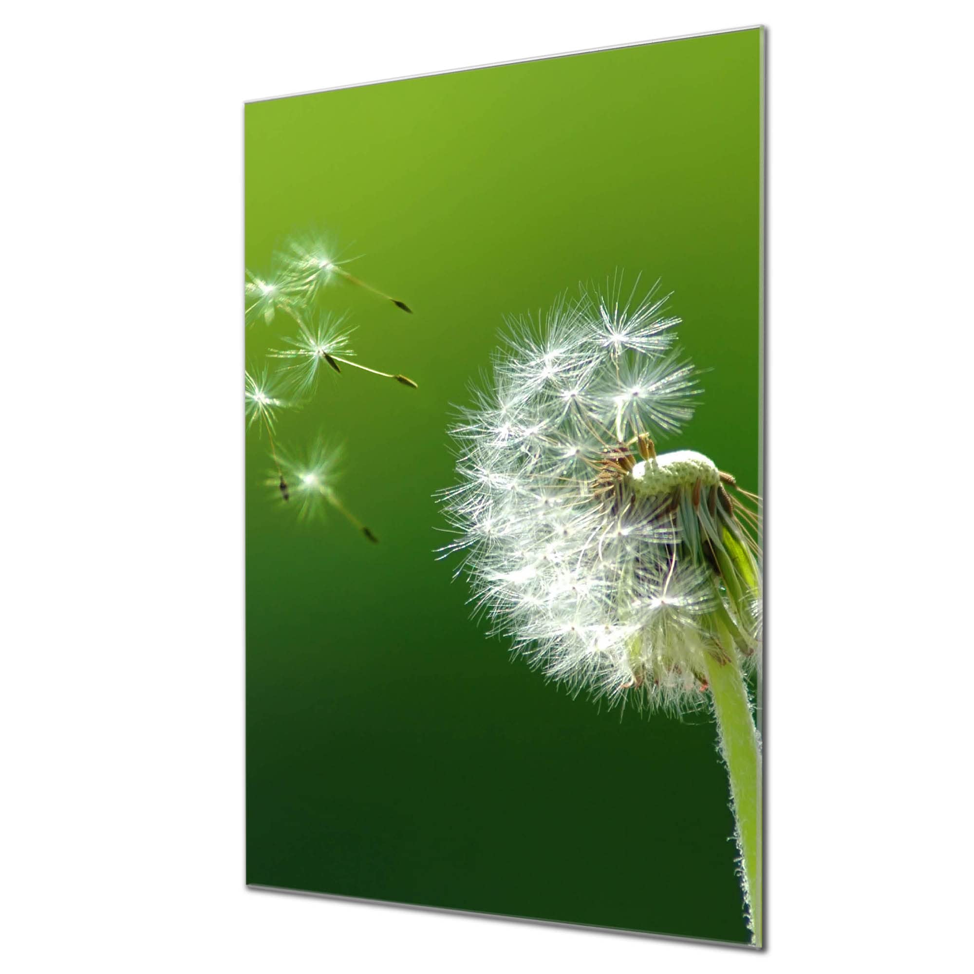 Banjado Magnettafel Verblüht Glasboard 60x40cm beschreibbar