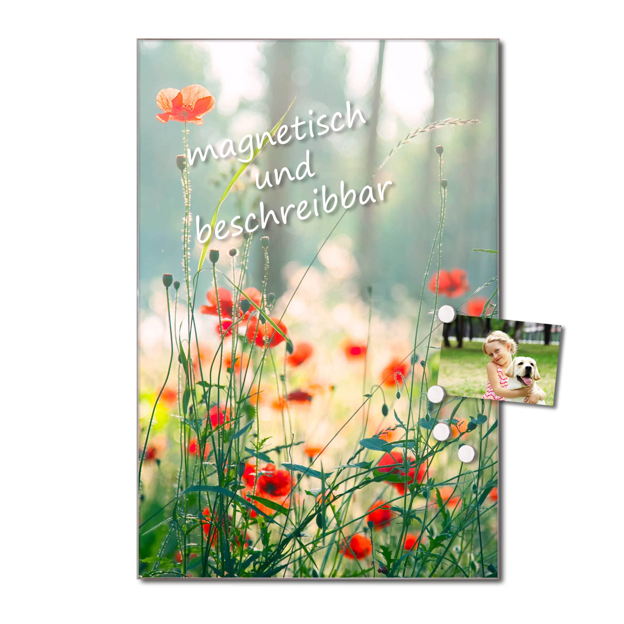 Banjado Magnettafel Waldmohn 60x40 cm Glas beschreibbar