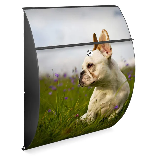 Banjado Riviera Briefkasten Anthrazit Bulldogge A4