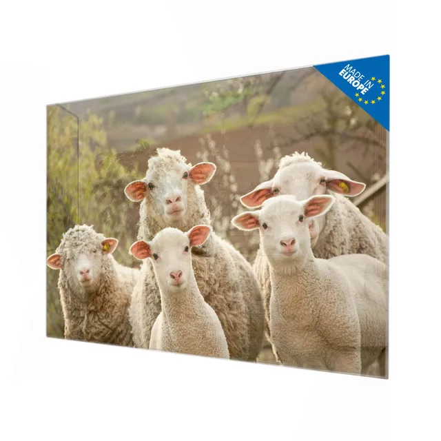 Banjado Magnettafel Schaffamilie Glas 120x80 cm Tiermotiv