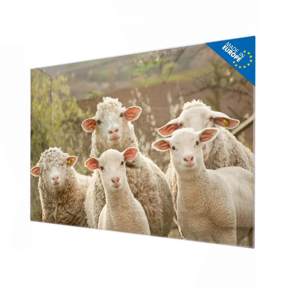 Banjado Magnettafel Schaffamilie Glas 120x80 cm Tiermotiv