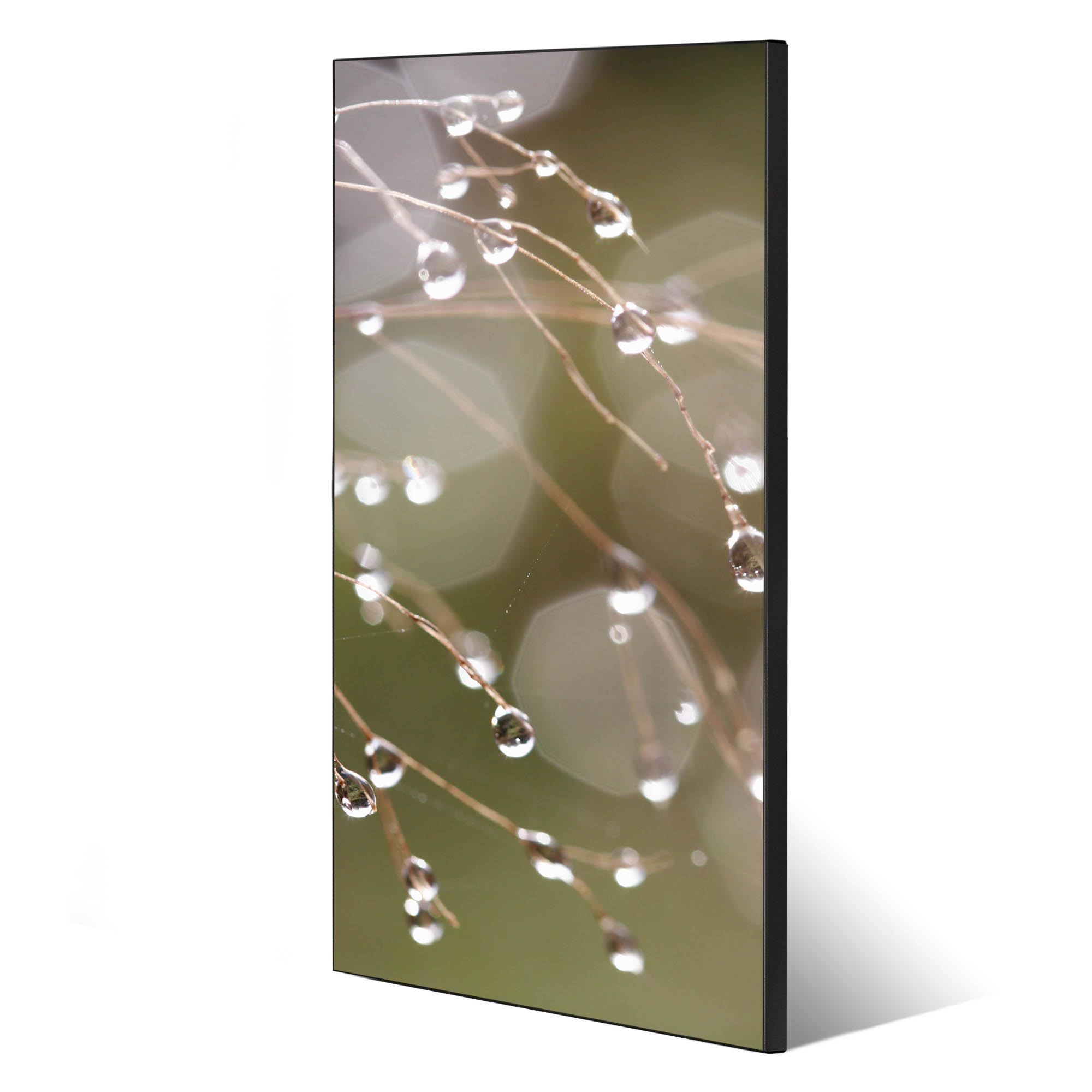 Banjado Magnettafel Tau Auf Zweigen Metall Pinnwand 78x37 mit Magneten