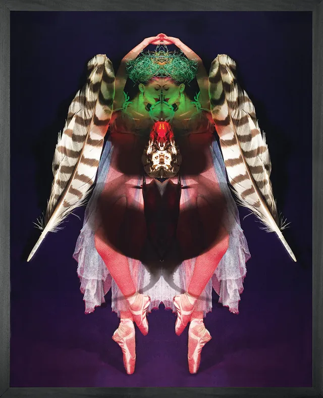 Mineheart Dancer's Metamorphosis Wandbild 40x50 Tänzerin