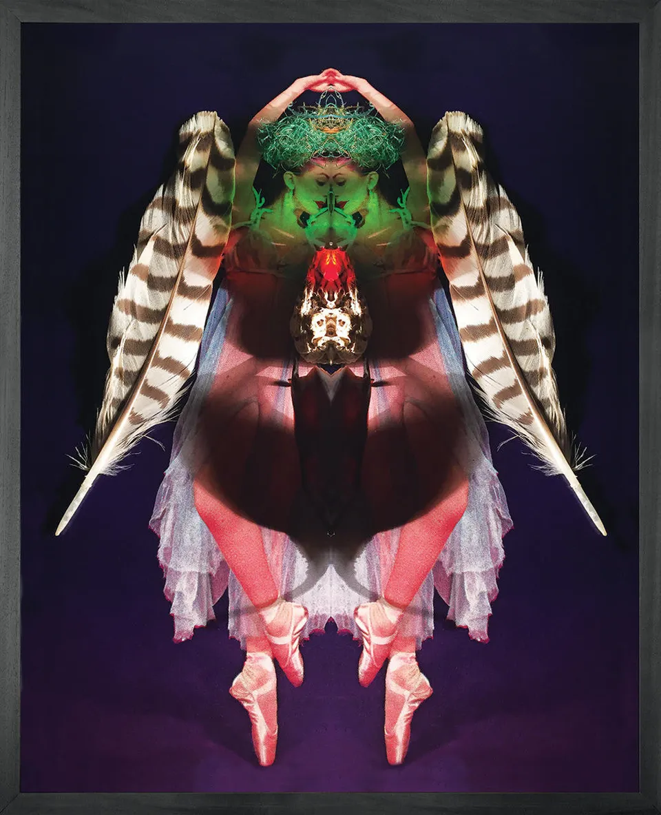 Mineheart Dancer's Metamorphosis Wandbild 40x50 Tänzerin