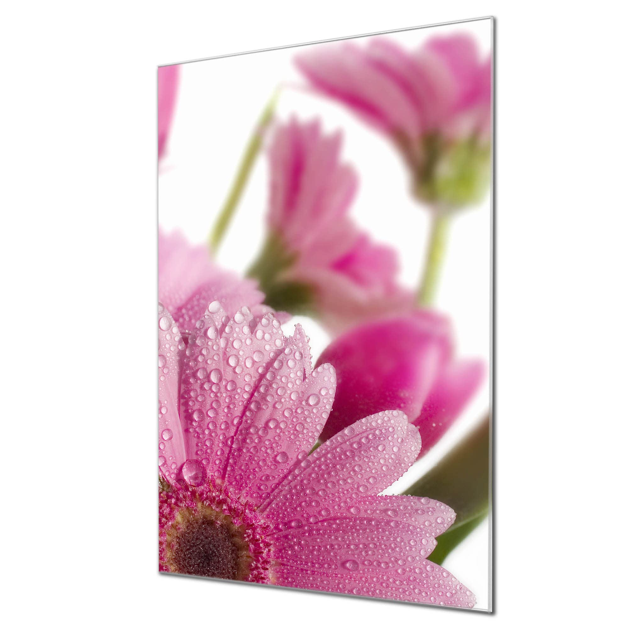 Banjado Magnettafel Klee in Reihe Glasboard 60x40cm Blumen