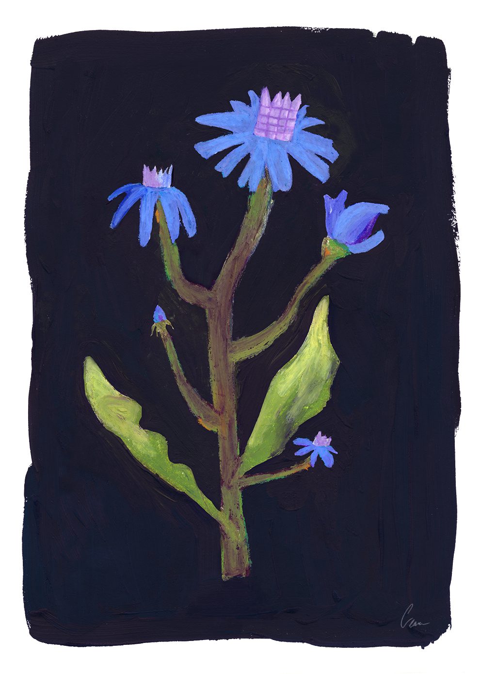 The Poster Club Art Prints Night Flower Kunstdruck A4