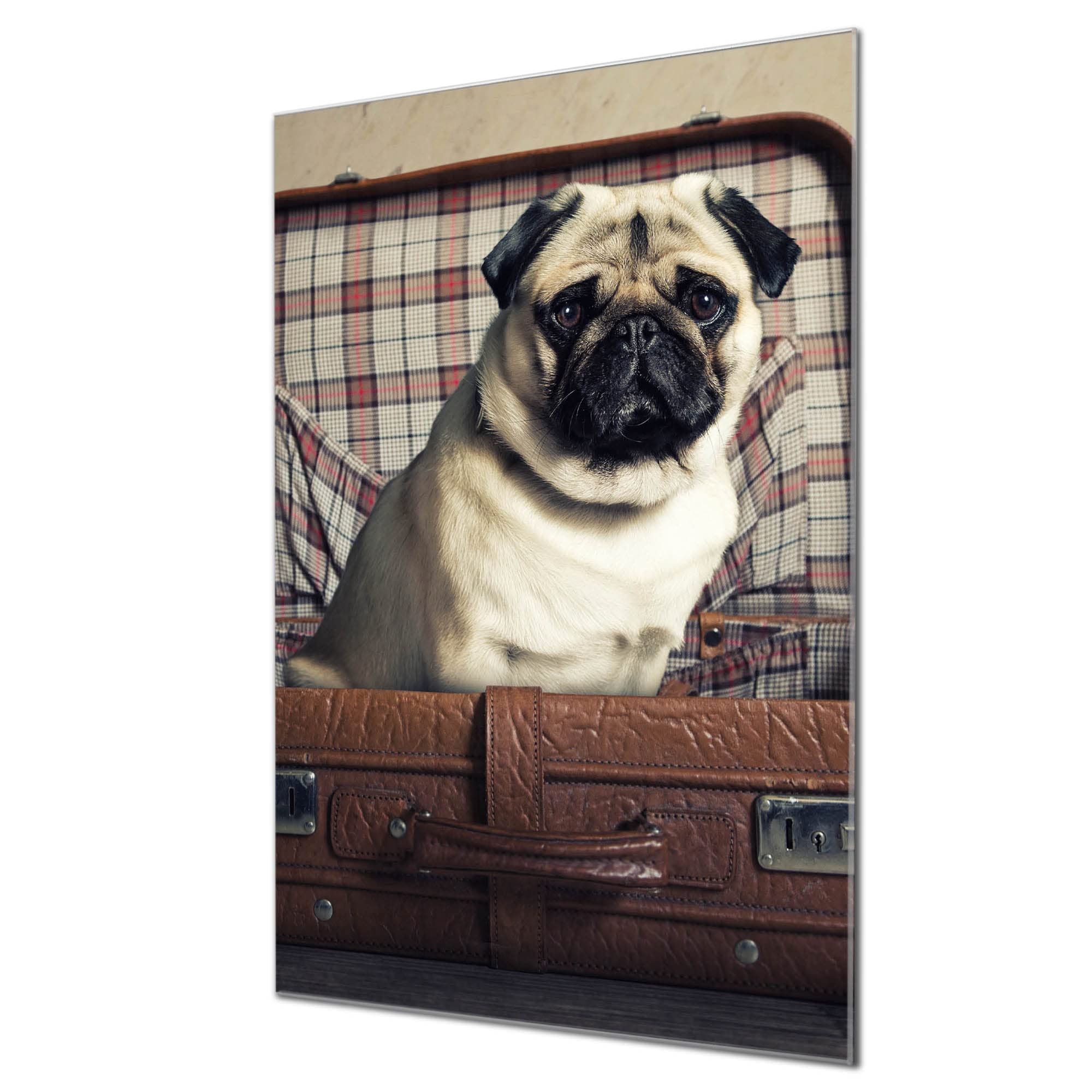 Banjado Magnettafel Mops im Koffer Magnetboard 60x40 Hund