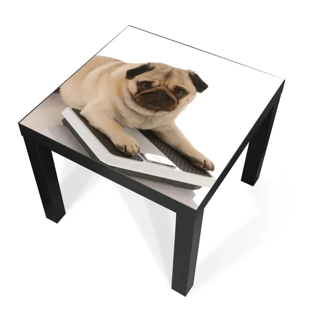 Banjado Möbelfolie Mops Tischfolie 55x55 cm selbstklebend