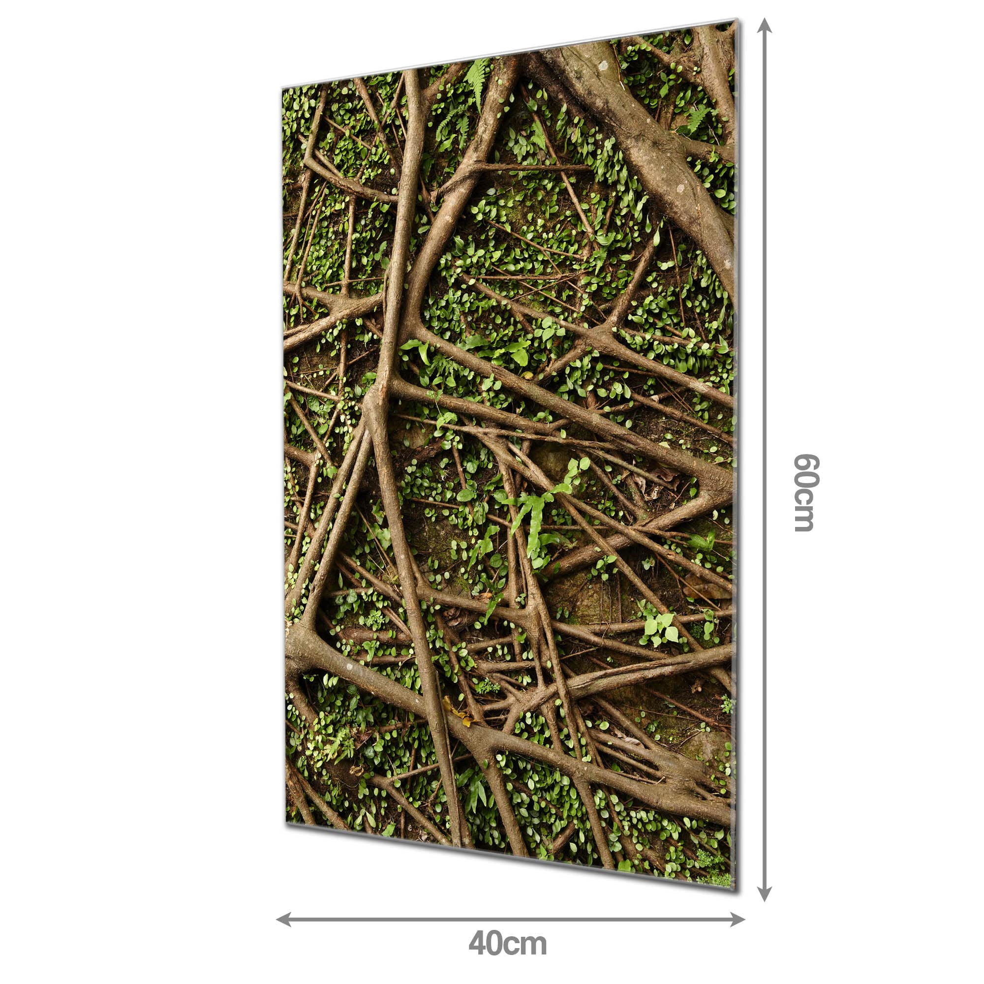 Banjado Magnettafel Baumwurzel Magnetboard 60x40 cm Natur