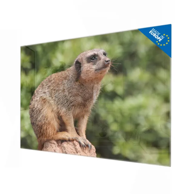 Banjado Magnettafel Erdmännchen 120x80 cm Glas beschreibbar