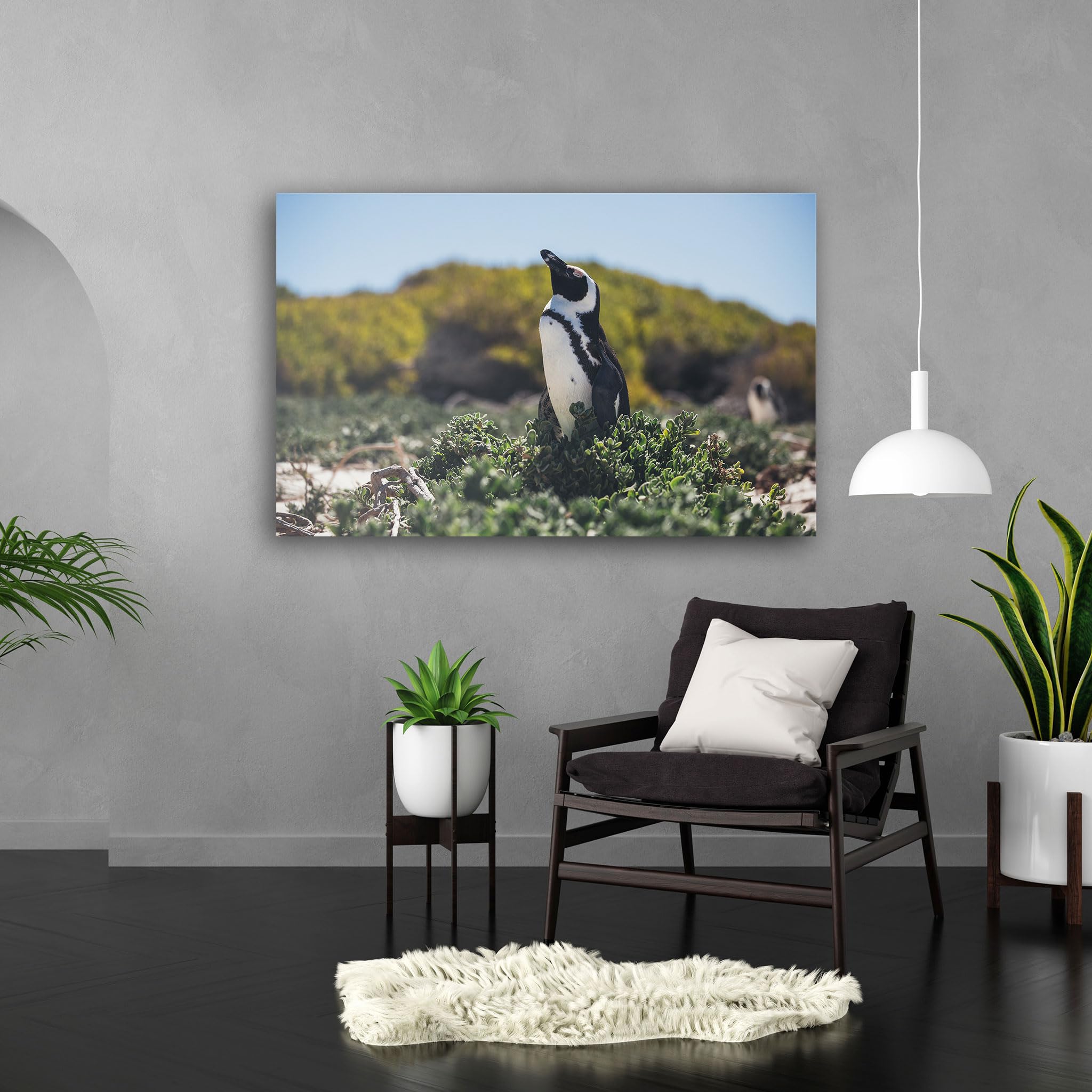 Hustling Sharks Wandbilder Pinguin Leinwandbild 30x40 cm Küste