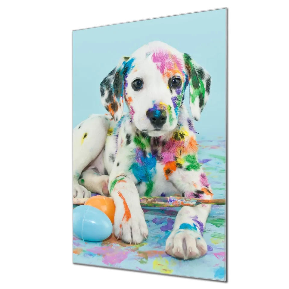Banjado Magnettafel Glas 40x60cm Magnetboard Bunter Dalmatiner Hund
