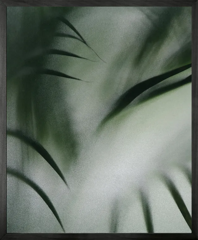 Mineheart Palm Etch 4 Wandbild Canvas 60x81 cm