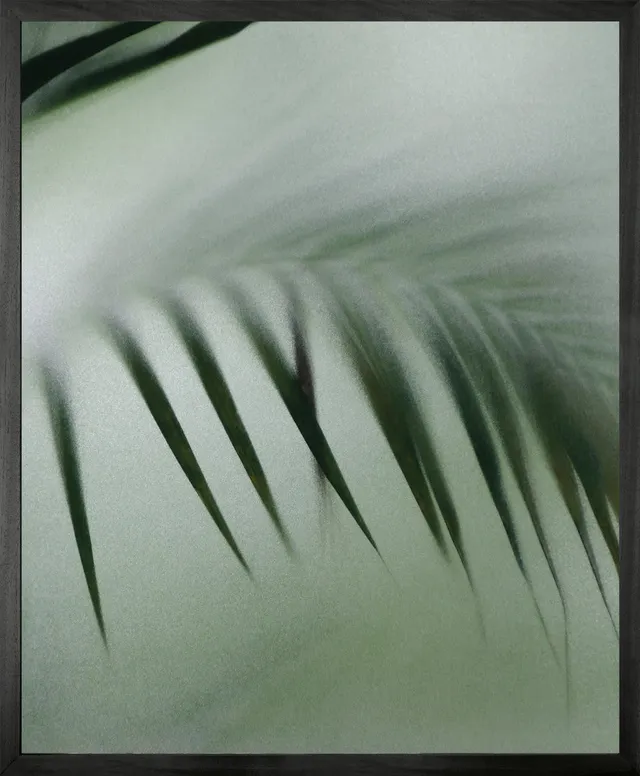 Mineheart Palm Etch 8 Leinwand Blätter 40x50 cm