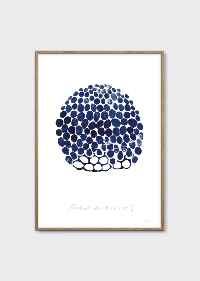 The Poster Club Rubus Poster 30x40 botanisch blau-weiß