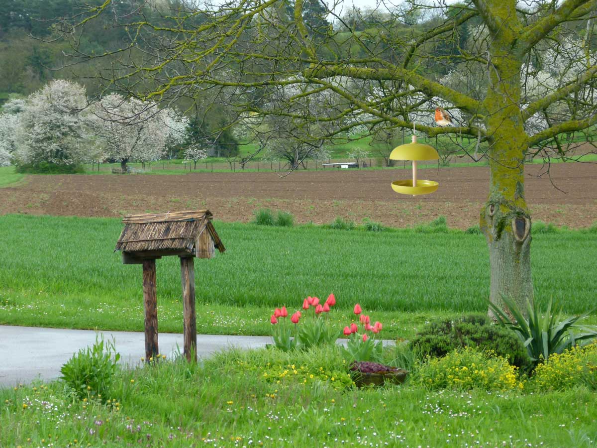 LS-LebenStil Garten & Camping Futterstation Grün Kunstharz