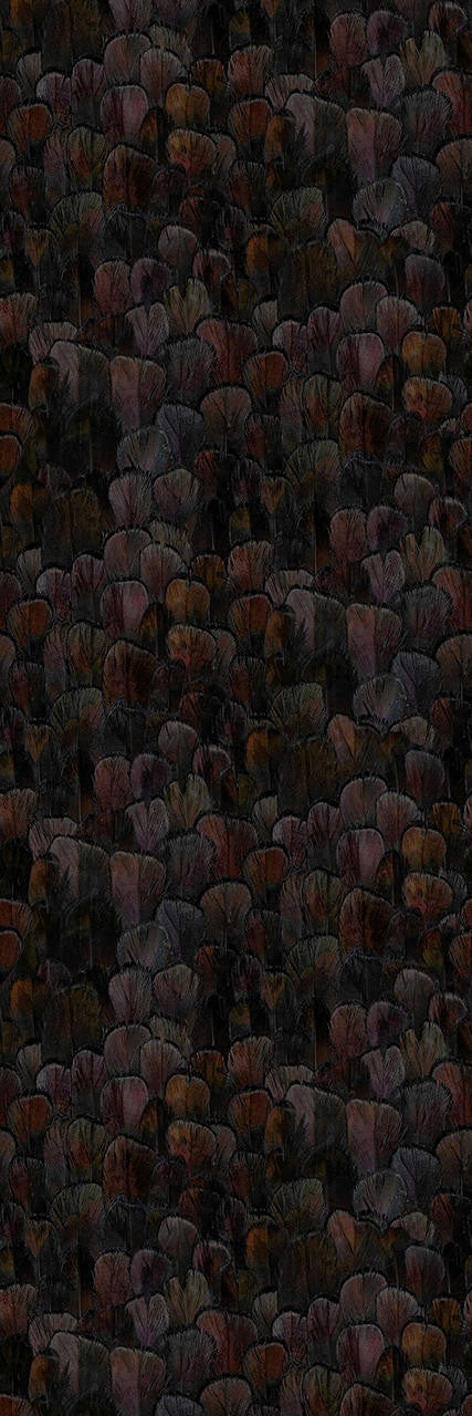 Mineheart Wallpaper Feather Pattern Dark Tapete A3 Muster