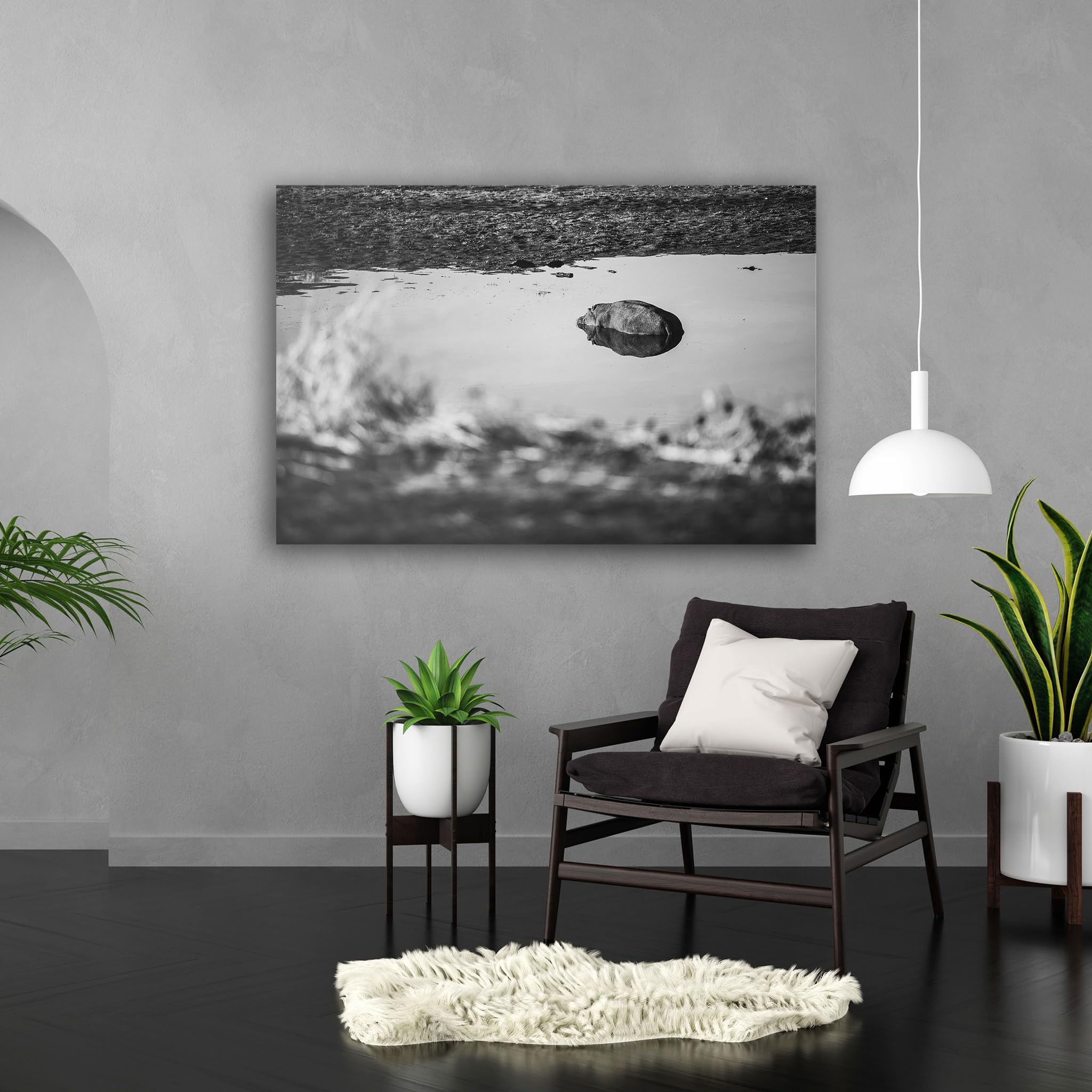 Hustling Sharks Wandbilder Stille Wasserfläche Leinwand 40x30 cm Tier