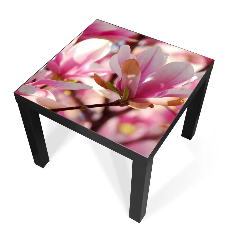 Banjado Möbelfolie Tischfolie Magnolia 55x55 cm selbstklebend