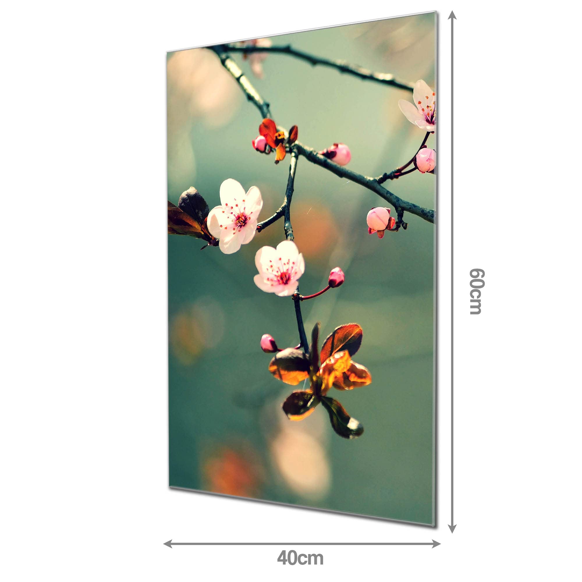 Banjado Magnettafel Japankirsche Glasboard 40x60 cm Blumenmotiv