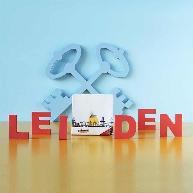Storytiles Delft Blue Ontzettend Leiden Wandfliese 10x10 cm