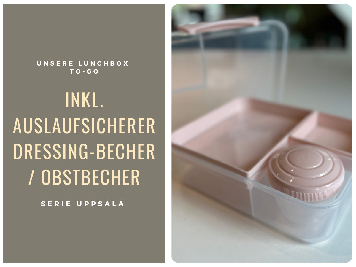 LS-LebenStil Küche & Haushalt Bento Box Rosa 3 Fächer 2 Ebenen