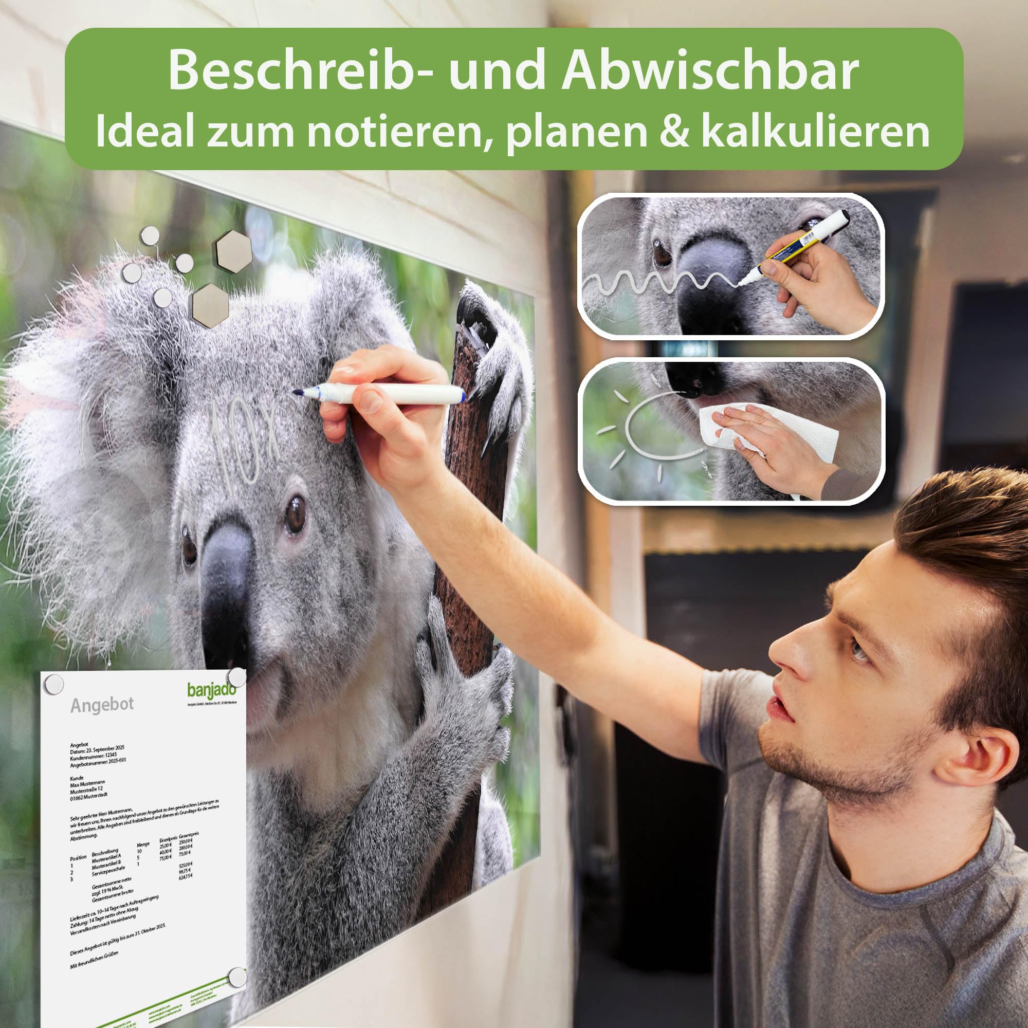 Banjado Magnettafel Koala Glas-Magnettafel 120x80 cm Tiermotiv