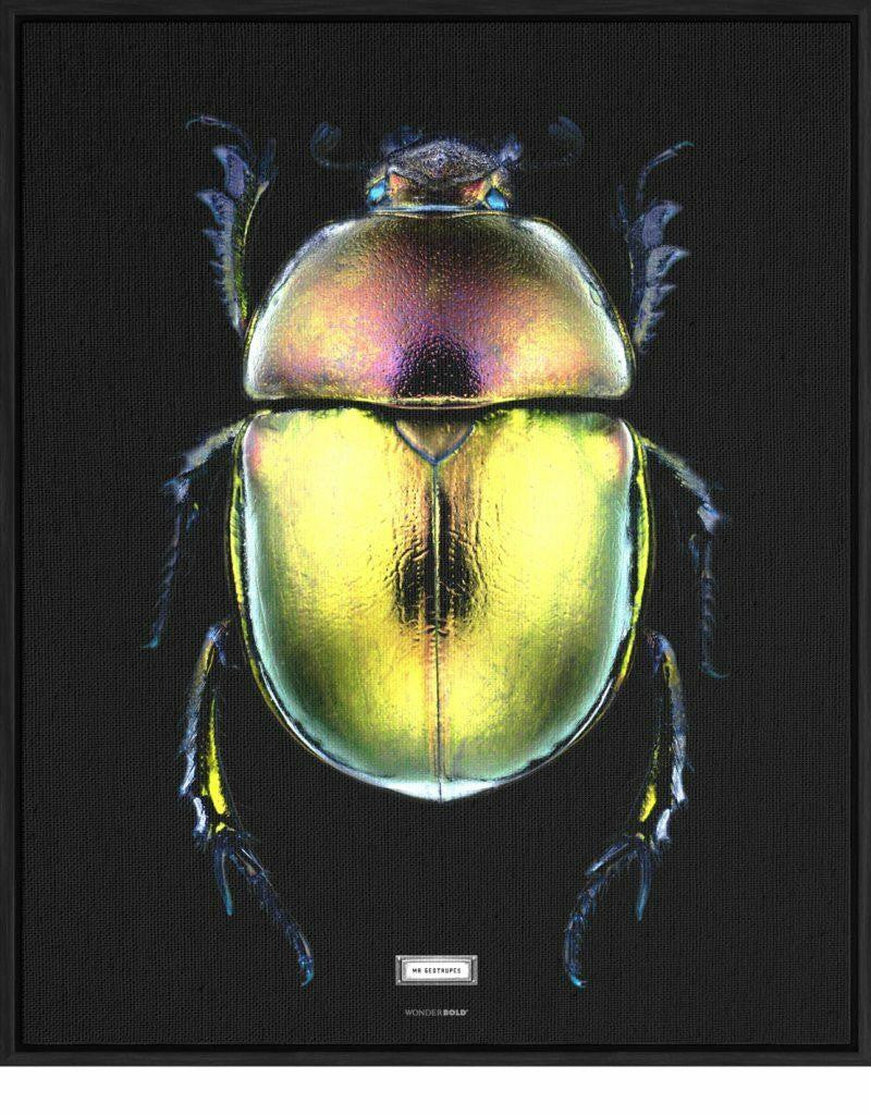Mineheart Wall Art Mr Geotrupes Leinwandbild 30x41cm Käfer