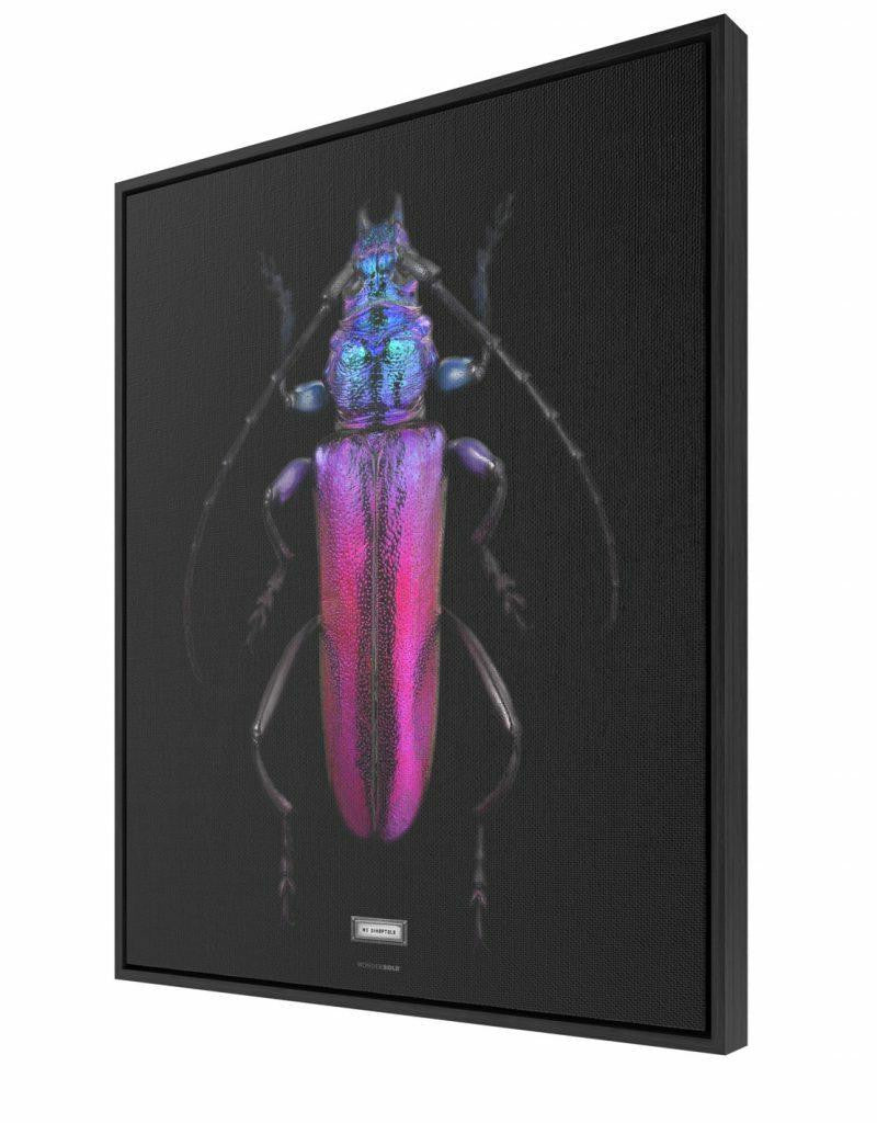 Mineheart Mx Synaptola Leinwand Käfer 30x41cm